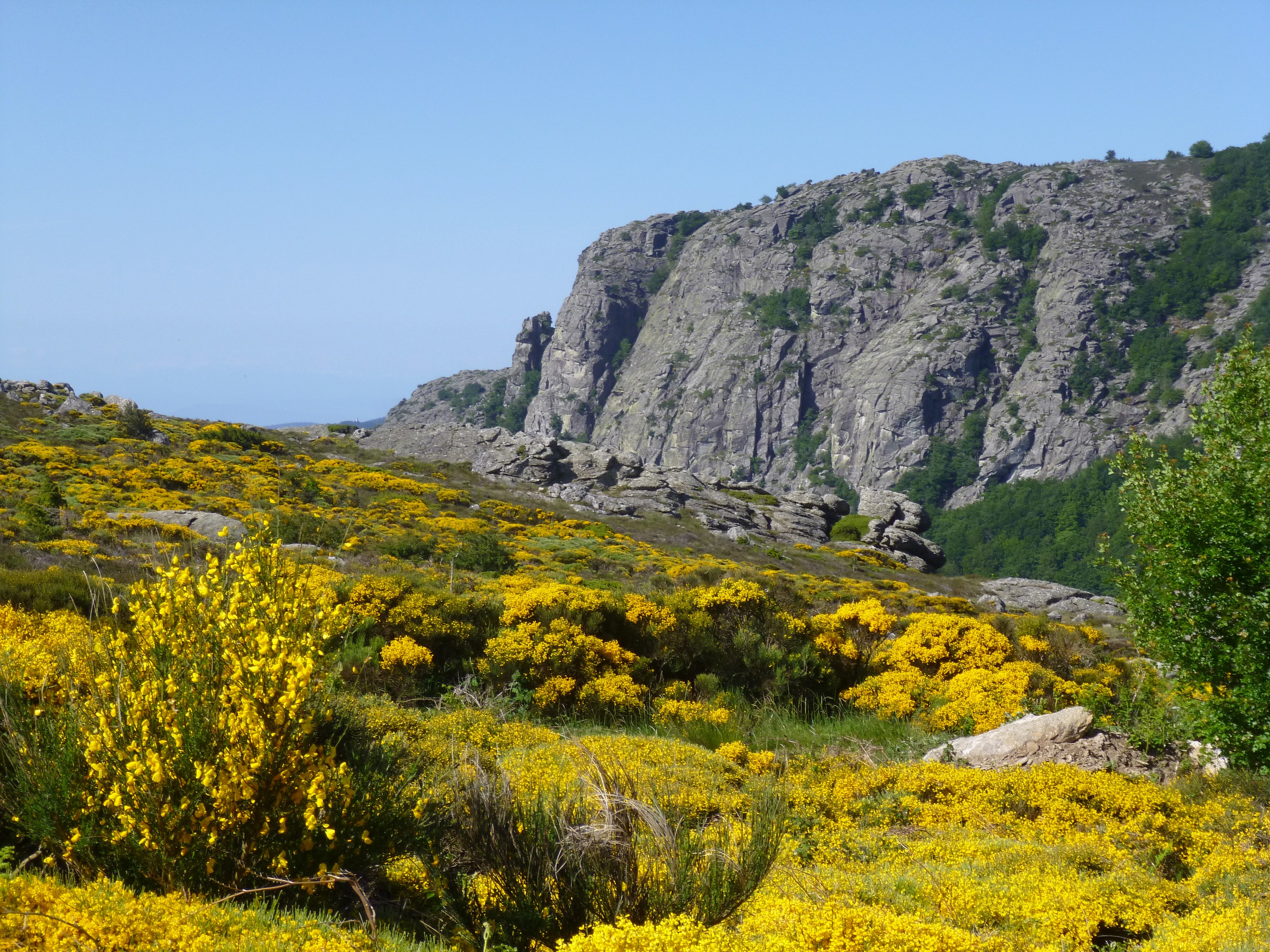 Massif du Caroux - Haut-Langedoc