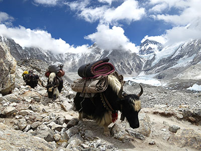 Haute route de L’Everest dans le Massif du Khumbu