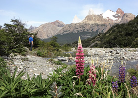 Patagonie - Torres del Paine, Fitz Roy, Cerro Torre & Los Glaciares